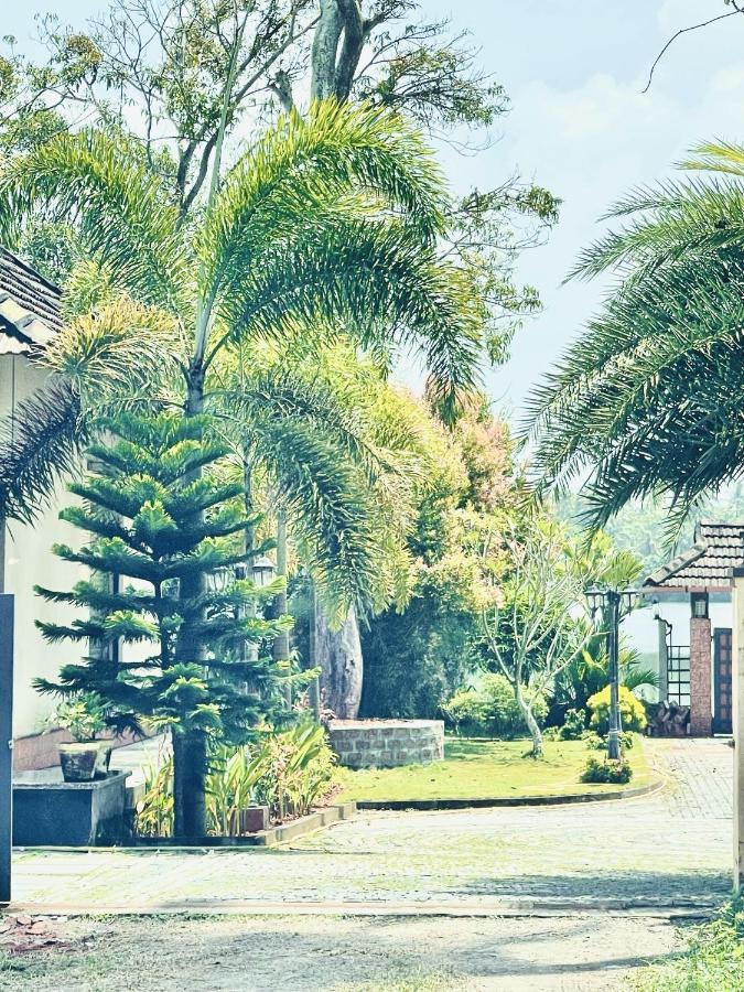 Cherai Lake Resort Cherai Beach Bagian luar foto
